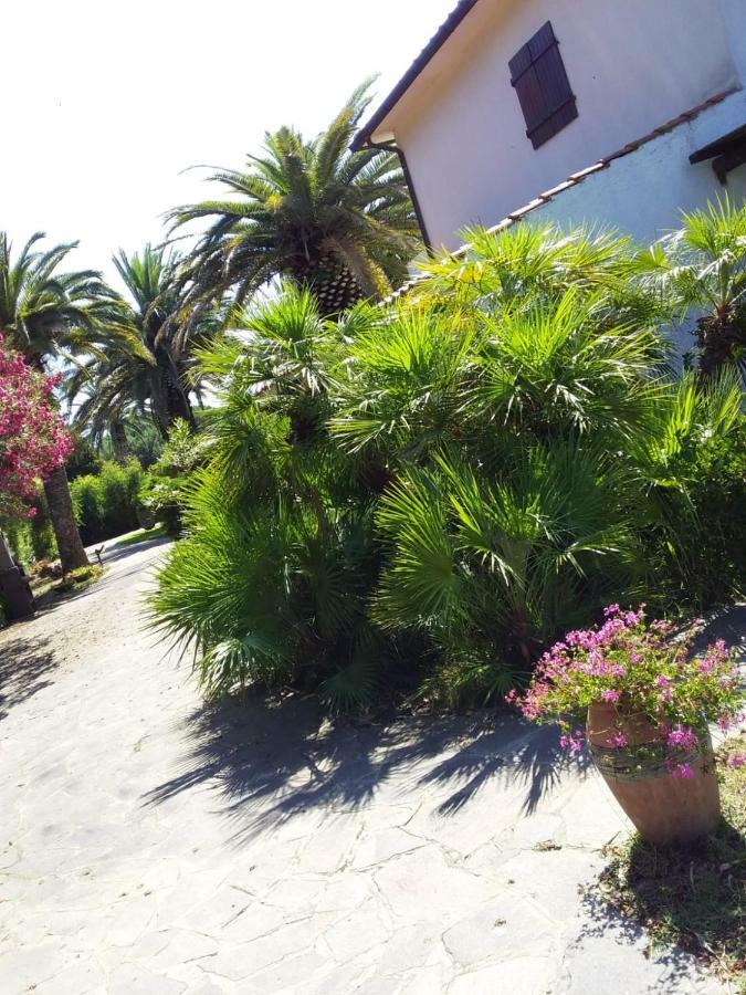Le Palme Apartment Capoliveri  Exterior foto